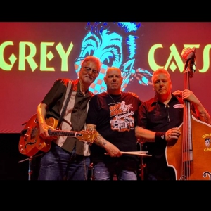 Winterberg Grey Cats foto